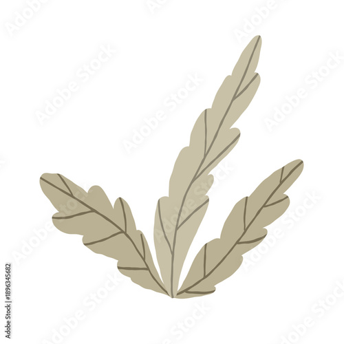 Seaweed is perfect for creating and decorating designs with a nautical pirate theme. Vector design element