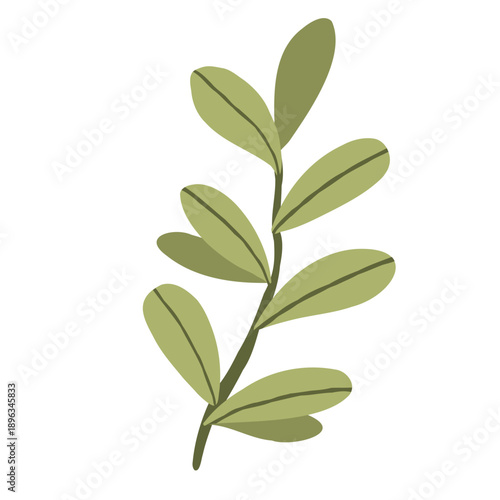 Seaweed is perfect for creating and decorating designs with a nautical pirate theme. Vector design element