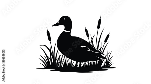 a black duck amongst reeds and grasses a simple and elegant silhouette