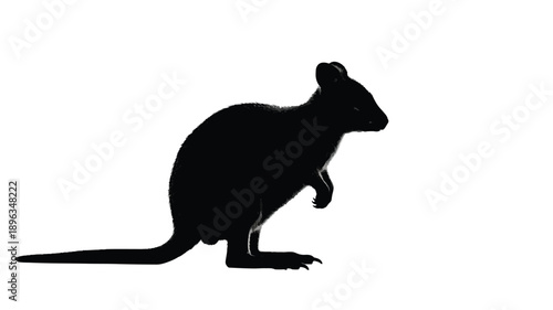 a black silhouette of a small rodent standing on its hind legs