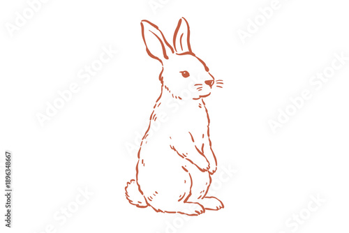 Spring hand drawn sketch of a standing rabbit in outline style