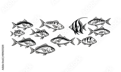 A school of various fish depicted in a black and white illustration