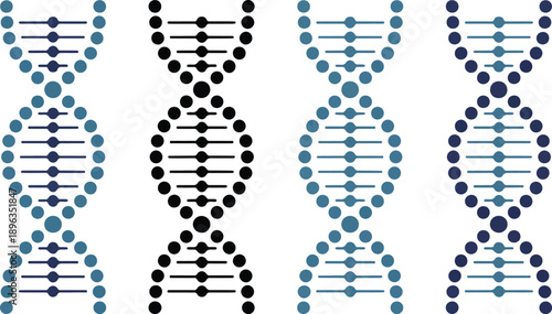 A digital illustration of four DNA helix structures arranged horizontally side by side against a white background.