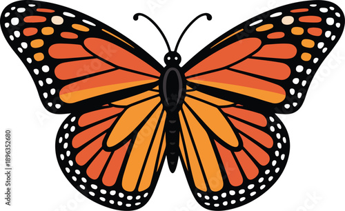 Monarch Butterfly Illustration: A vivid illustration of a monarch butterfly, showcasing its intricate wing patterns, embodies grace, transformation, and the beauty of nature.