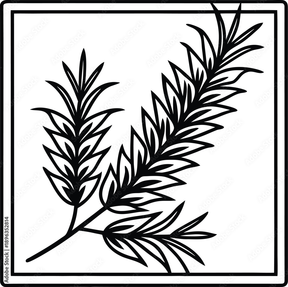 Fototapeta premium black and white background