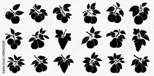 Collection of fruit branches silhouettes including apples, pears, plums, and grapes, isolated on a transparent background.