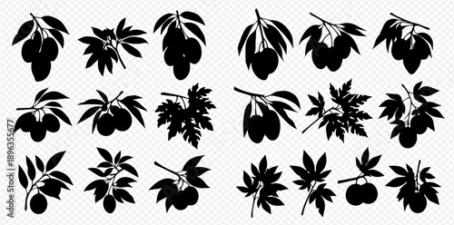 Set of black silhouettes of various fruit and berry branches with leaves and fruits, isolated on a transparent background.