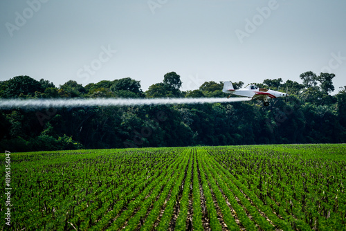 Aerial aircraft spraying agricultural pesticides, fertilizers, and seeds by plane in a soybean plantation on a farm in the Amazon. Concept of agriculture, crop, ecology, environment, airplane.