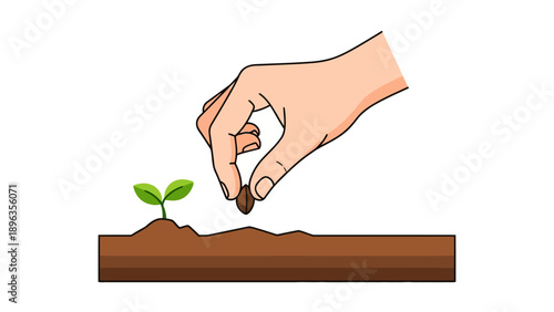Hand planting seed next to seedling in soil