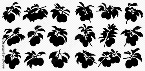 Set of black silhouettes of plum branches with fruits and leaves, isolated on a white background.