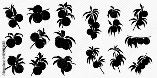 Set of black silhouettes of plums on branches with leaves, isolated on a transparent background, vector illustration.
