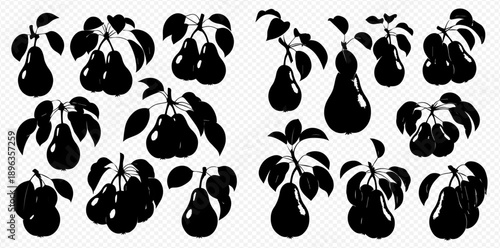 Set of pear fruit silhouettes with leaves on branches, isolated on a transparent background, vector illustration.