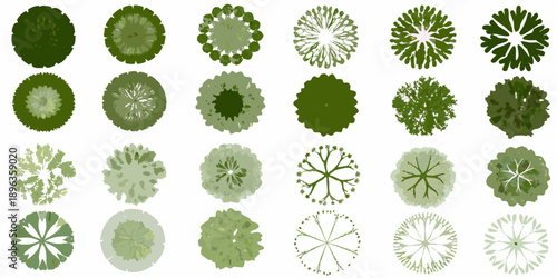 Collection of diverse green tree canopies viewed from directly above