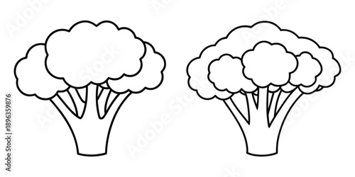 Broccoli vegetable drawing outline vector illustration