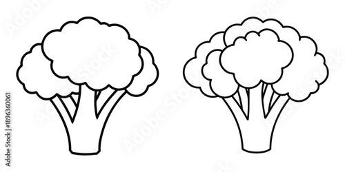 Broccoli vegetable drawing outline vector illustration