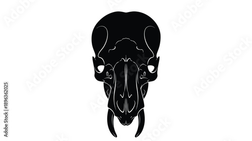 a striking black skull head design intricate details dramatic silhouette