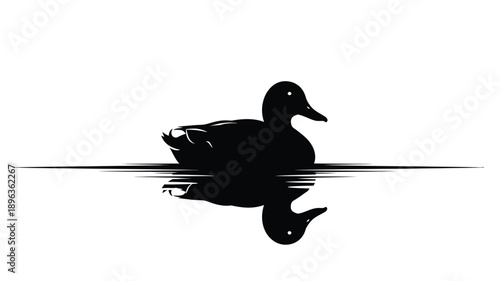 a black duck silhouette swimming on water reflecting in a line