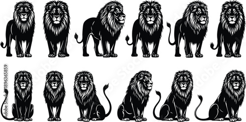 Black lion silhouettes set featuring various standing and sitting poses of majestic male lions with manes for safari wildlife graphic design.