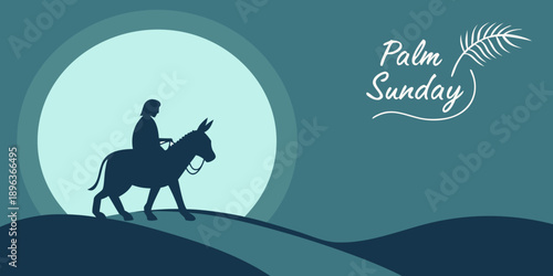 A merry Christmas vector illustration featuring a horse riding on the snowy beach alongside a reindeer silhouette for a winter holiday card design

Would you like me to generate a few more variations 