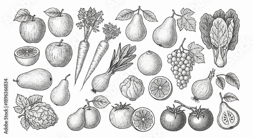 Collection of Fresh Fruits and Vegetables Hand Drawn Sketch.