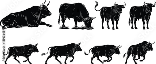 Bull silhouette set, powerful poses, grazing and running bulls, livestock icon, muscular cattle design, black animal art, farm branding