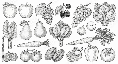 Collection of fresh fruits and vegetables hand-drawn sketch style.