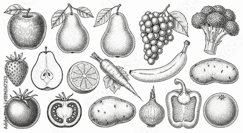 Collection of fresh fruits and vegetables in sketch style.