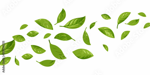 A cascade of vibrant green leaves falling against a clean white background