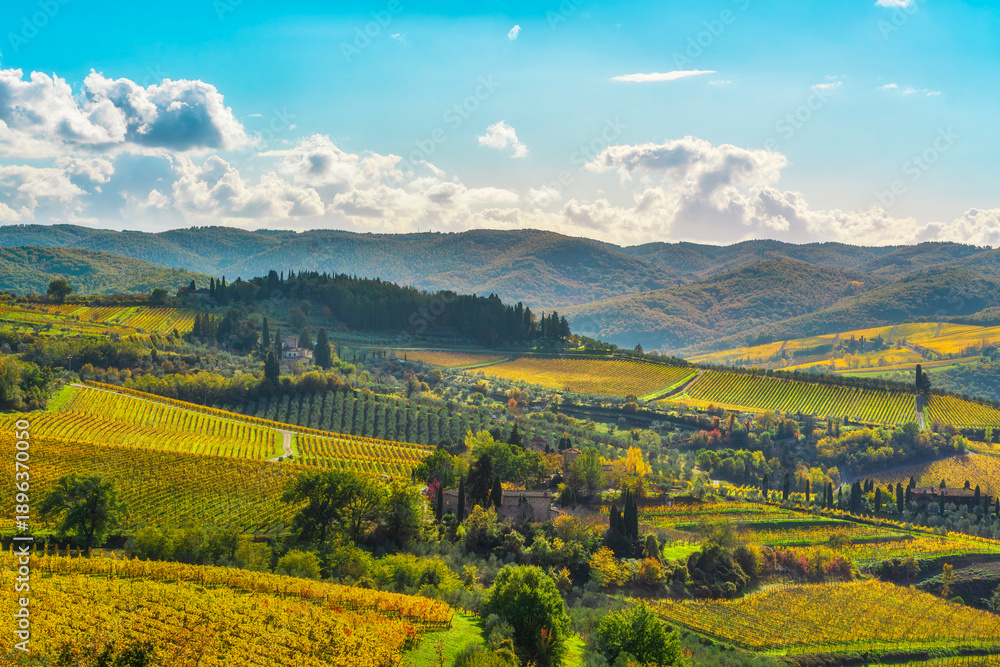 Fototapeta premium Autumn Vineyards Panorama in Panzano in Chianti, Tuscany