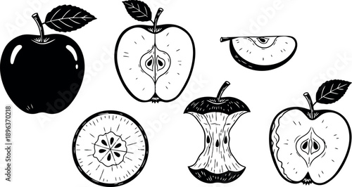 Black and white vector illustration of whole and sliced apples with seeds and leaves isolated on white background minimalist design