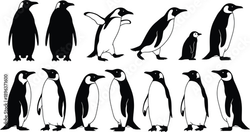 Penguin silhouettes collection showing standing, walking, and flapping poses isolated on white background for wildlife, polar nature, education, and animal design concepts