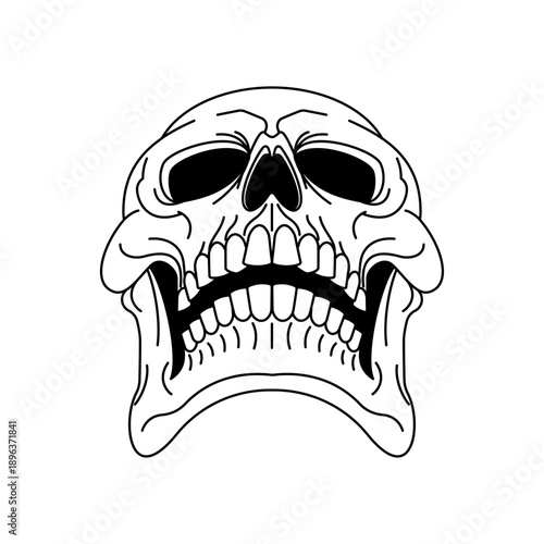 human skull from a bottom view perspective. Anatomical study of the cranium base, jaw, and teeth for medical or artistic use. Vector graphics.