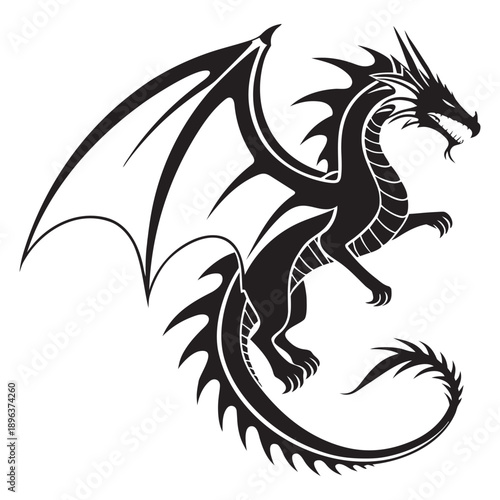 The Absolute Authority of the Northern Star Protective Strike 