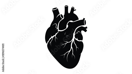 a detailed black heart illustration with intricate veins a striking silhouette