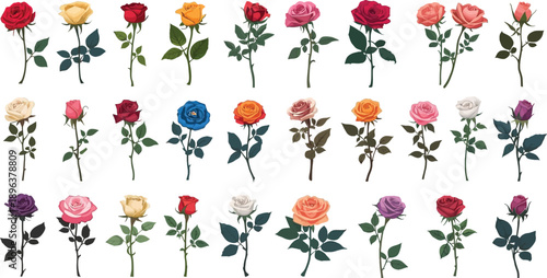 a set of red, orange, blue, purple, peach and pink roses  on a clean white background with a fresh spring floral design