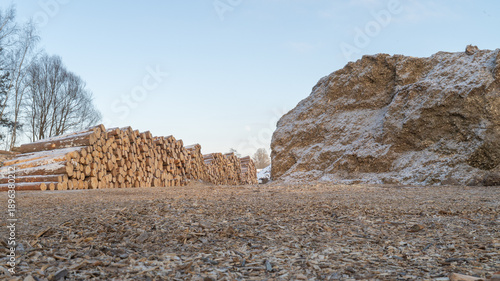 Tableau sur toile Pine saw logs and large biomass wood chip pile in winter storage yard, cold seas