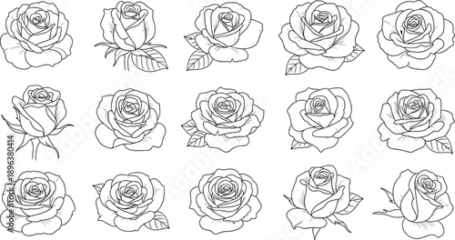 Rose Flower Outline Set Floral Botanical Blossom Lineart Romantic Nature Vector Illustration Black White