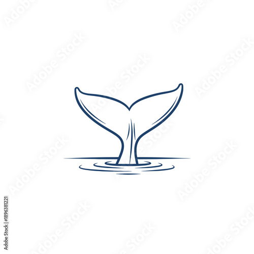 A stylized illustration of a whale's tail fin emerging from rippling water.