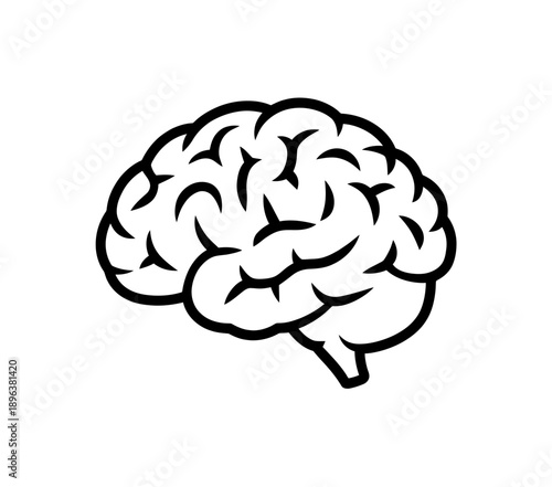 Detailed outline drawing of a human brain from the side  brain anatomy