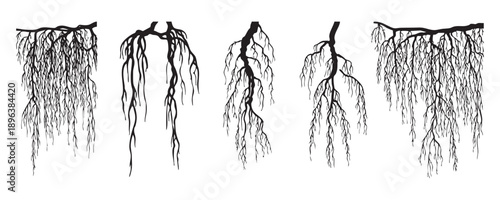 Deep underground tree roots silhouette set for botanical study and environment landscape design