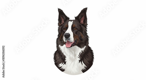 Portrait of a happy Border Collie dog with its tongue out.