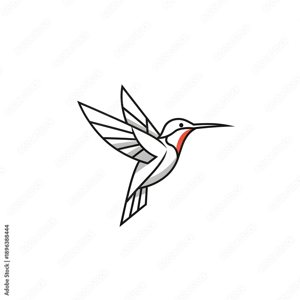Fototapeta premium A white hummingbird in flight against a black background