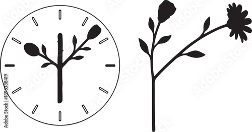 "Black and white silhouette of blooming flower stages aligned with clock face, symbolic decorative illustration showing passage of time, growth, nature cycle and creative modern stock artwork design"