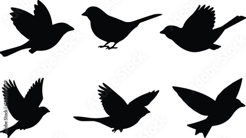 Set of black bird silhouettes flying and perched, representing nature, freedom, wildlife migration, avian grace, sky movement, and feathered animal wing.