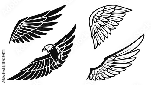 Artistic collection of various stylized wings and a majestic flying eagle silhouette   - in trendy line style, line icons set, media, website, blog, content, web icon set, Vector illustration