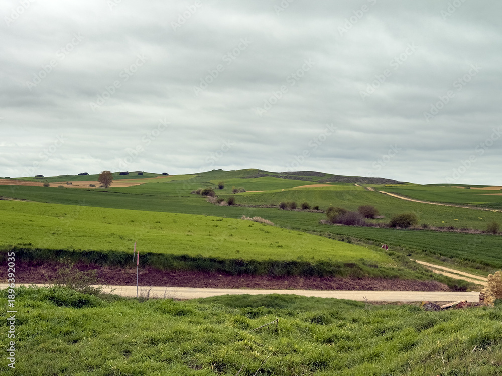 Fototapeta premium Rolling green fields under cloudy skies in Palencia