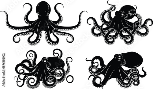 Collection of Four Detailed Black Octopus Silhouettes Featuring Various Tentacle Poses and Arm Positions for Marine Life Underwater Nature and Ocean Wildlife Projects