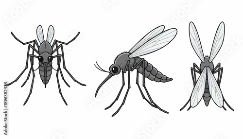 Cartoon Illustrations of Mosquitoes in Black and White Line Drawings.