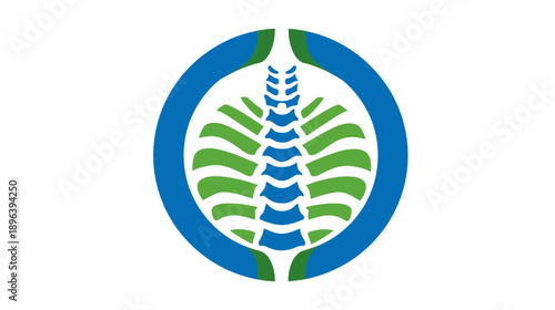 Abstract human spine and vertebral column icon in a circular blue and green design, symbolizing chiropractic, health, and wellness.