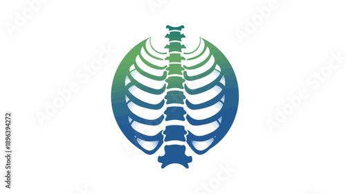 Stylized Human Rib Cage and Spine Icon with Green Blue Gradient for Medical, Chiropractic, and Wellness Design